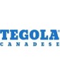 Tegola Canadese